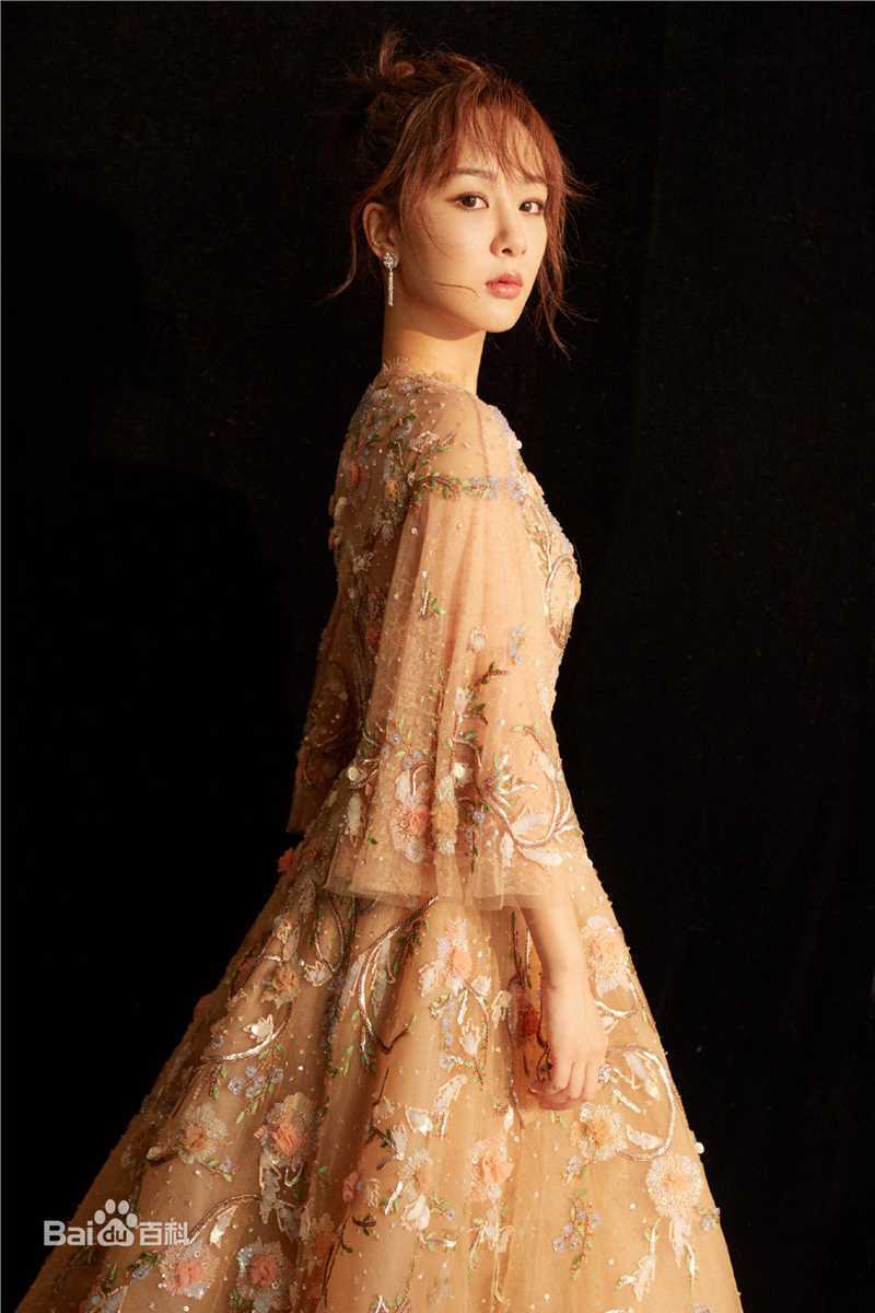 杨紫(Andy)2018微博之夜图片图册