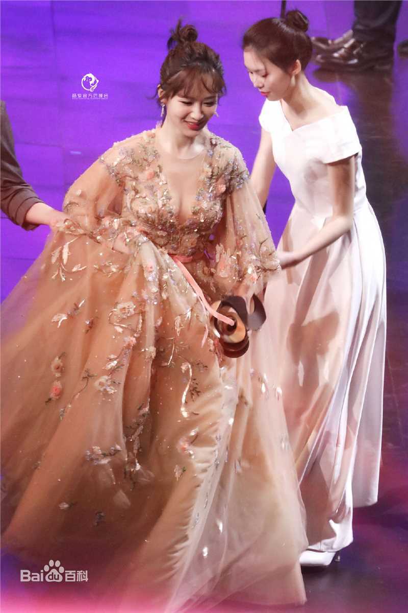 杨紫(Andy)2018微博之夜图片图册