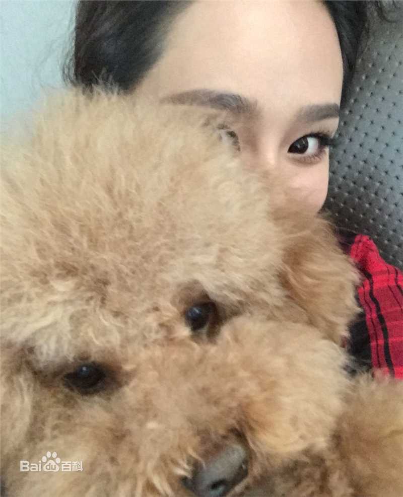 杨紫(Andy)宠物壁纸壁纸