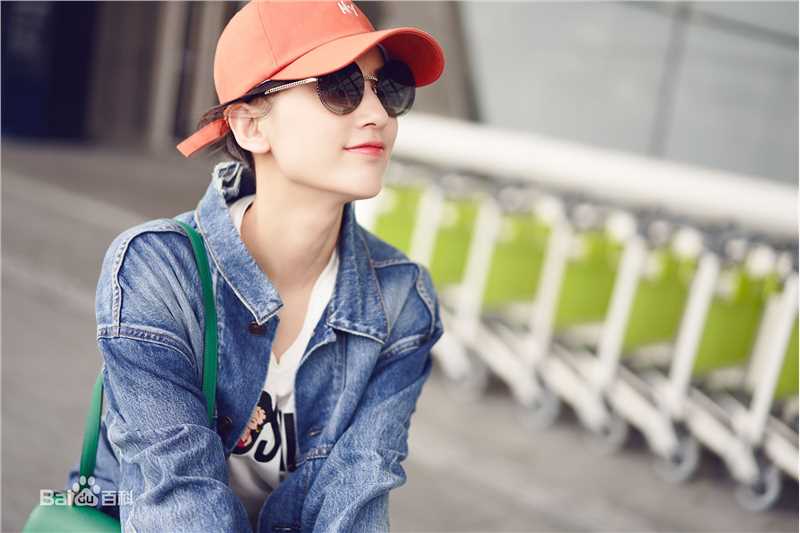 黄圣依(Eva Huang)机场Look图册