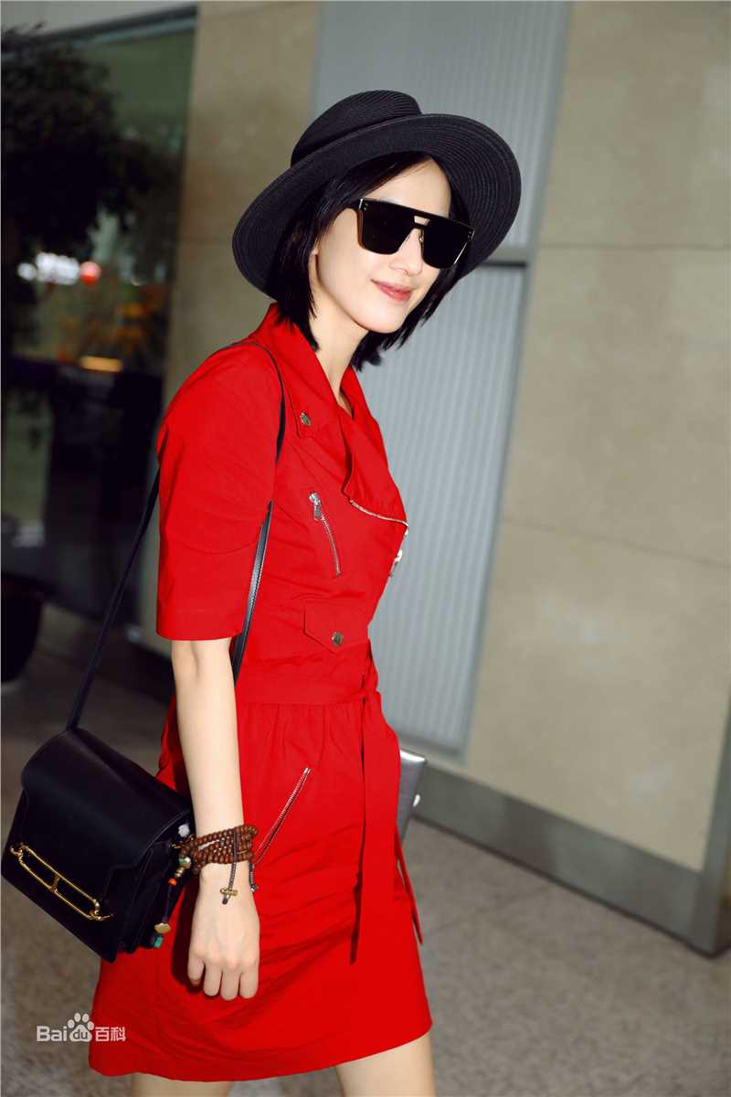 黄圣依(Eva Huang)机场Look图册