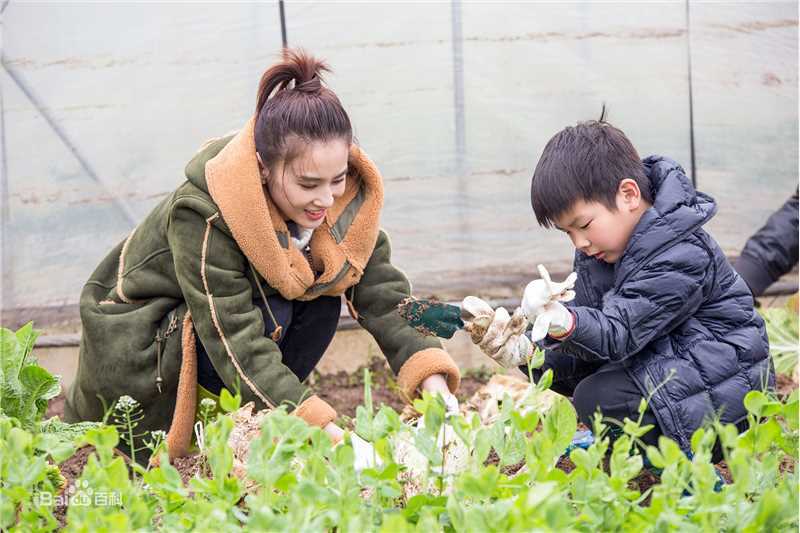 黄圣依(Eva Huang)妈妈是超人3前后照片