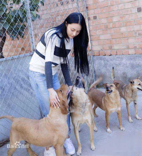 张馨予(Viann)奇兵神犬前后照片