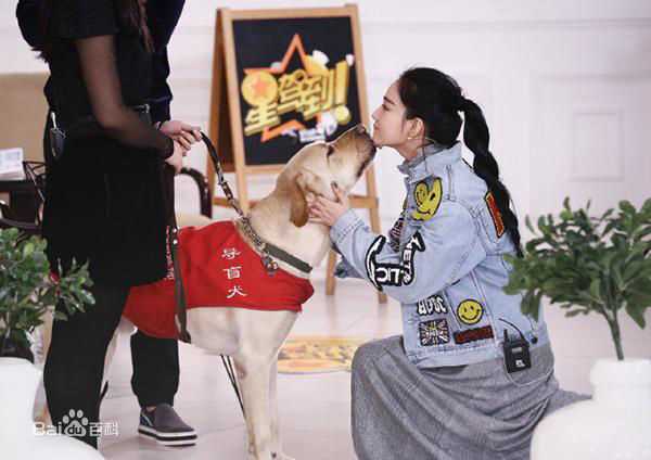 张馨予(Viann)奇兵神犬前后照片