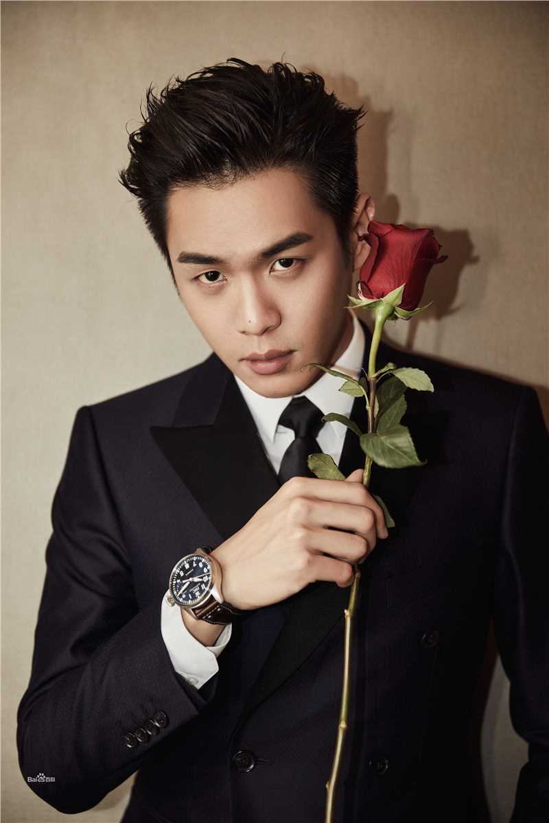 张若昀最新活动壁纸