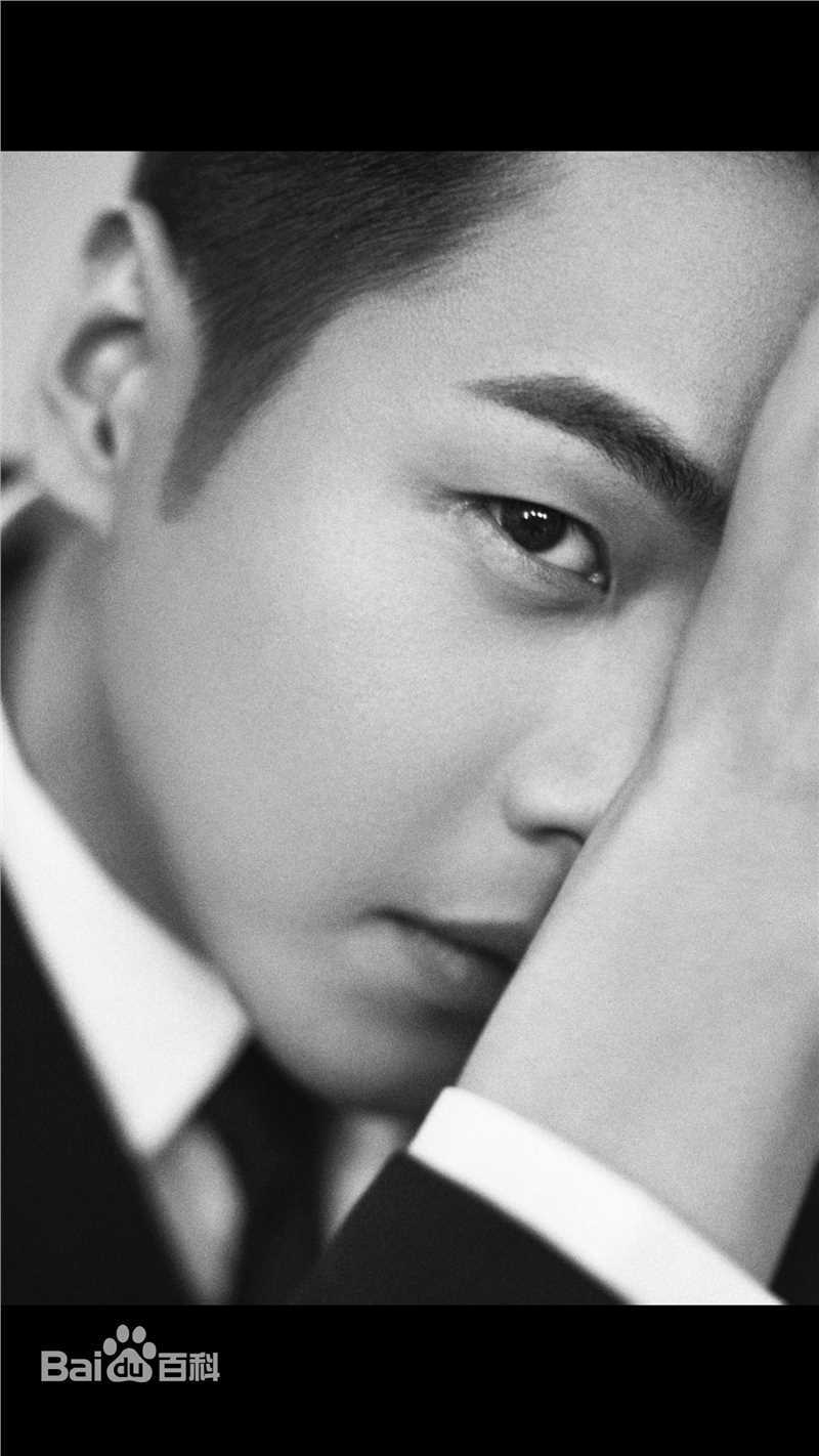 张若昀最全壁纸