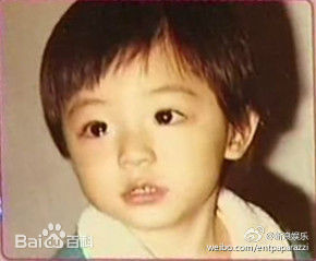 霍建华(Wallace Huo)童年照图片图集