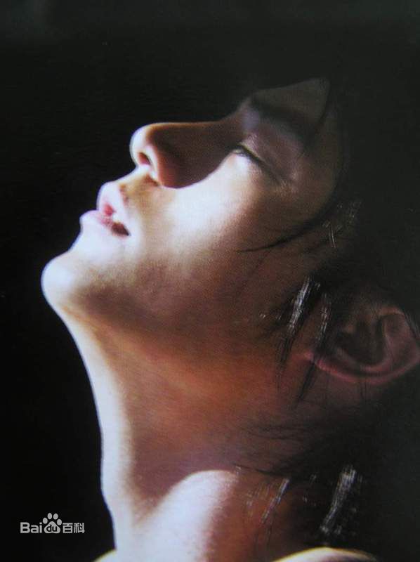 霍建华(Wallace Huo)最优质集《酿爱》相册