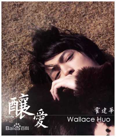 霍建华(Wallace Huo)最优质集《酿爱》相册