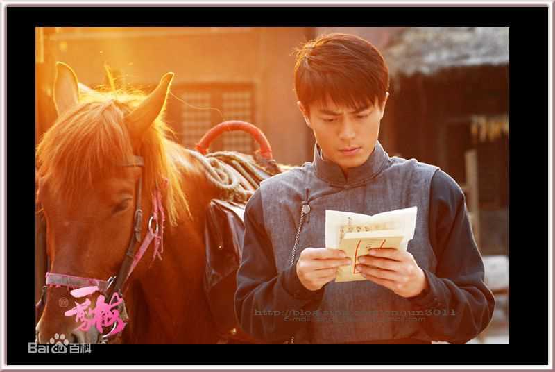 霍建华(Wallace Huo)2002-2016年电视剧集锦生活照