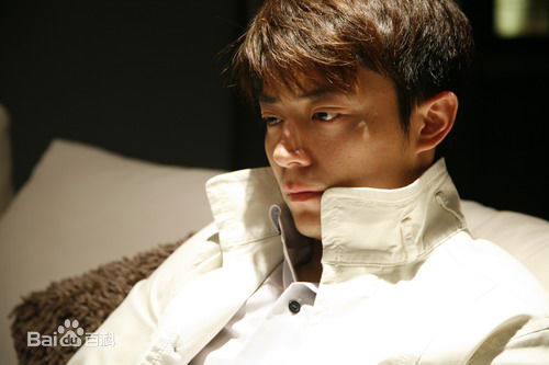 霍建华(Wallace Huo)2002-2016年电视剧集锦生活照