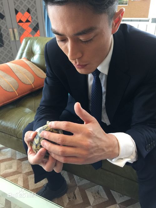 霍建华(Wallace Huo)在《他来了，请闭眼》薄靳言中的