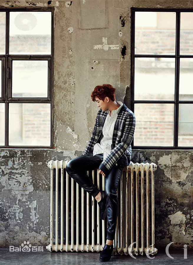 李俊昊(，Junho，ジュノ)画报壁纸壁纸