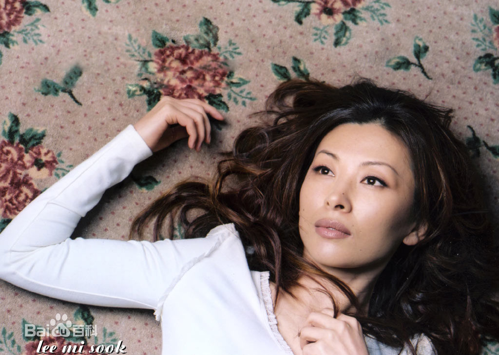 最全李美淑(，Lee Mi Sook)壁纸