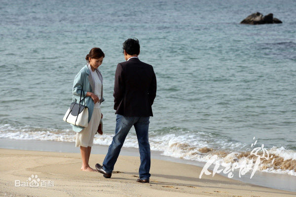 李美淑(，Lee Mi Sook)电视剧: 爱情雨壁纸壁纸