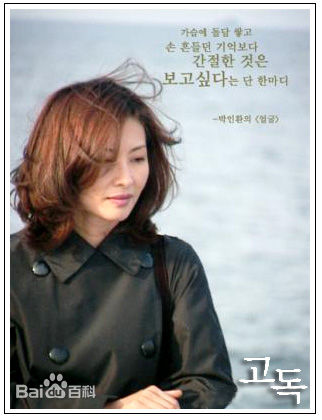 最全李美淑(，Lee Mi Sook)壁纸