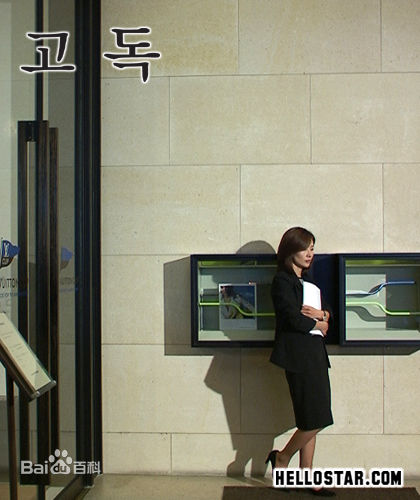 李美淑(，Lee Mi Sook)电视剧: 孤独图片图集