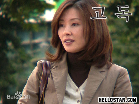 李美淑(，Lee Mi Sook)电视剧: 孤独图片图集