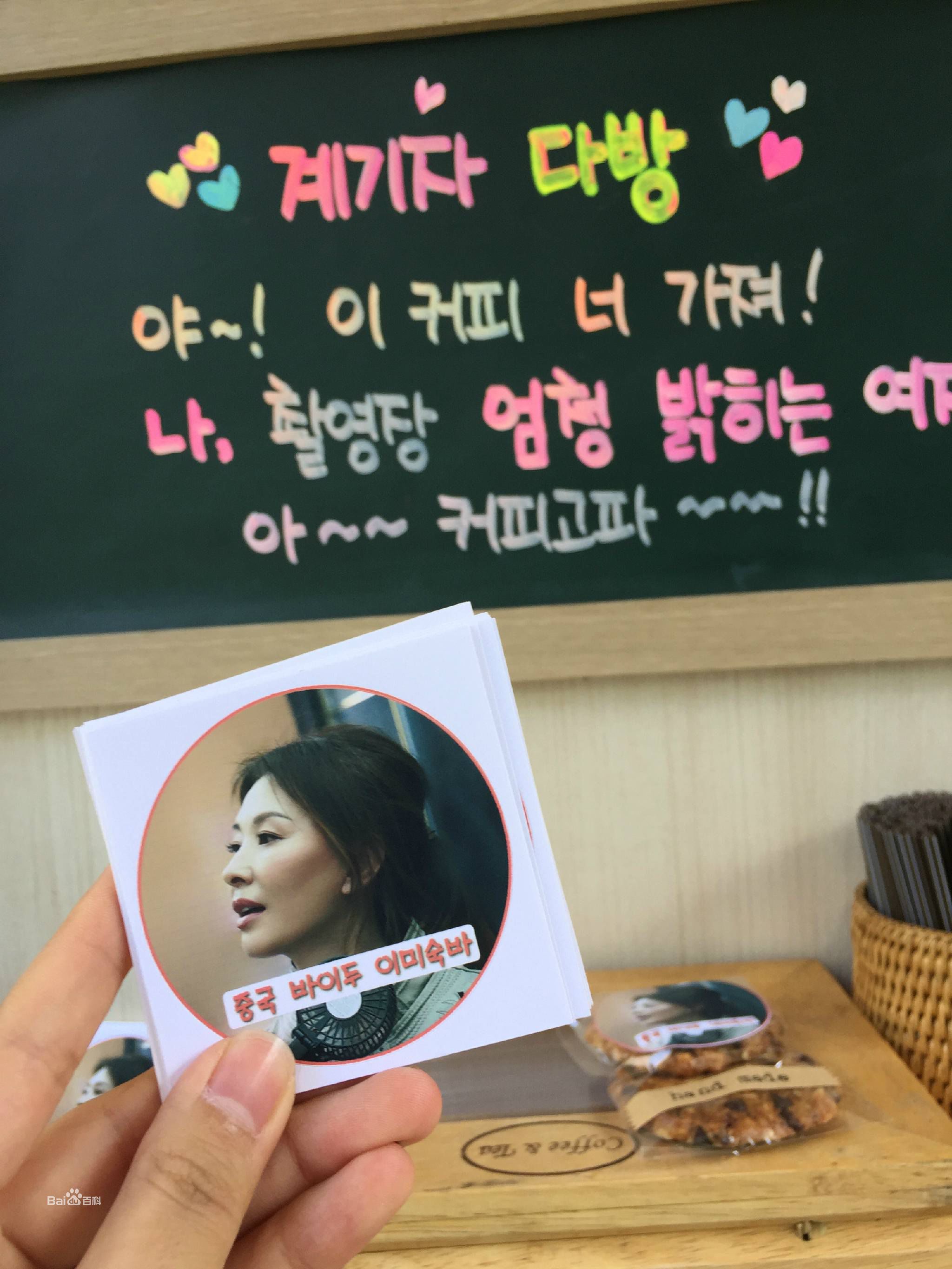 李美淑(，Lee Mi Sook)2016年嫉妒化身应援素颜照相册