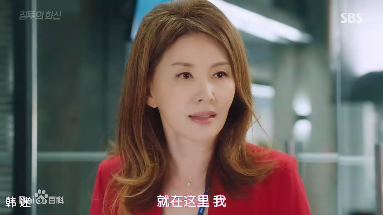 李美淑(，Lee Mi Sook)电视剧：嫉妒的化身图片图册