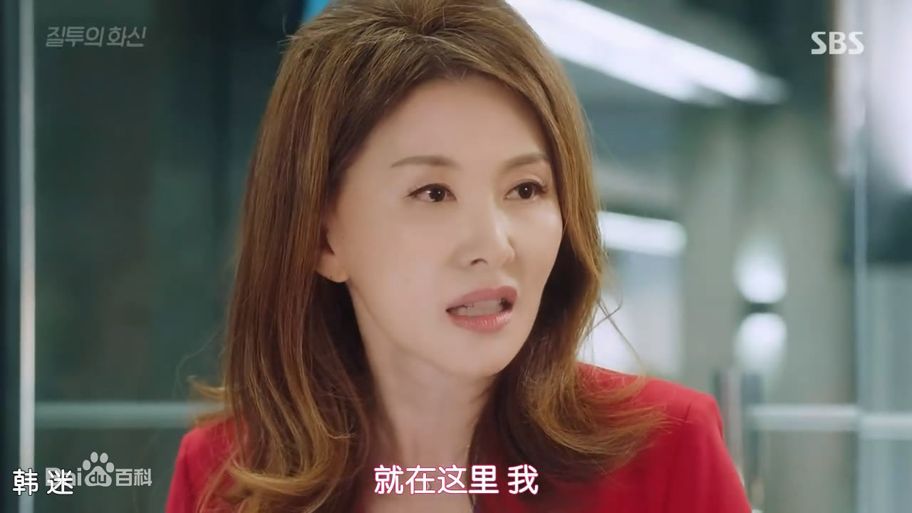 李美淑(，Lee Mi Sook)电视剧：嫉妒的化身图片图册