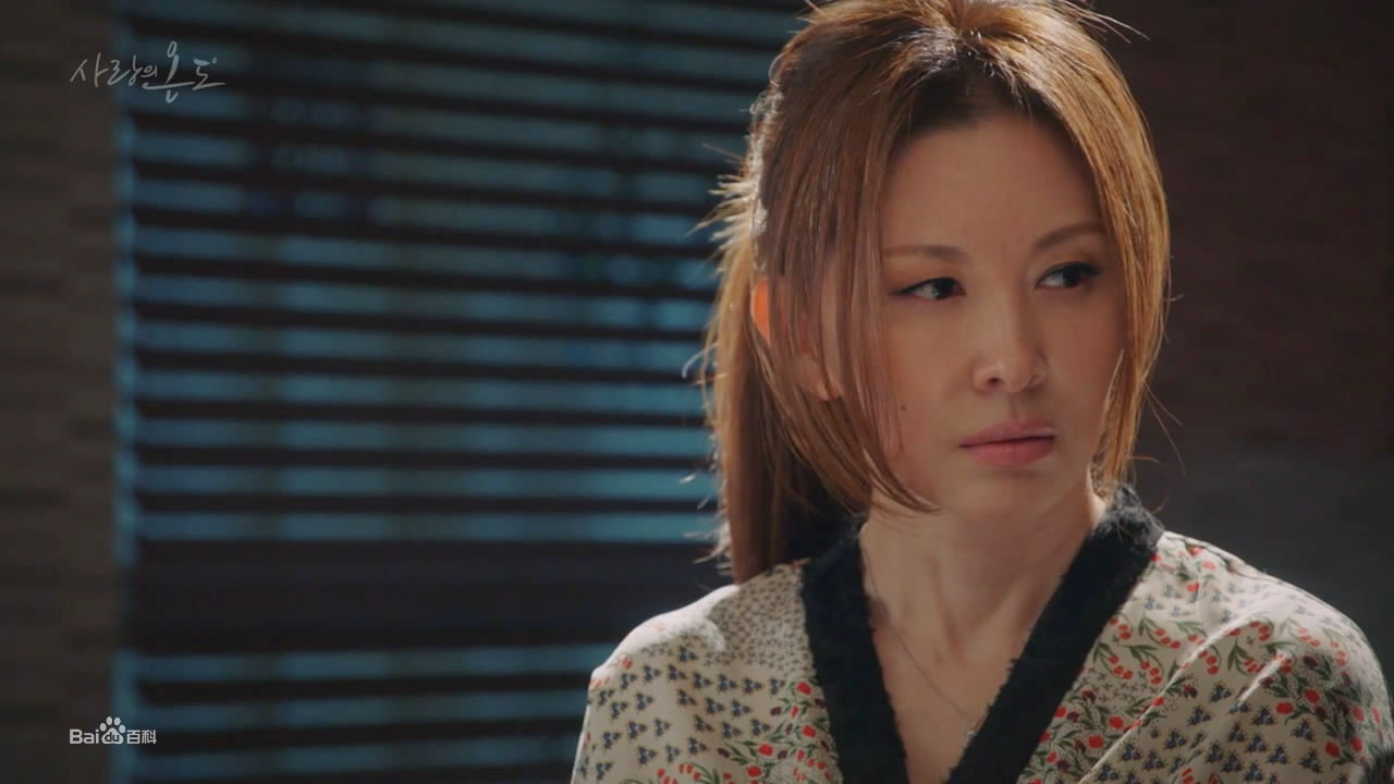 李美淑(，Lee Mi Sook)电视剧：爱情的温度性感图片图集