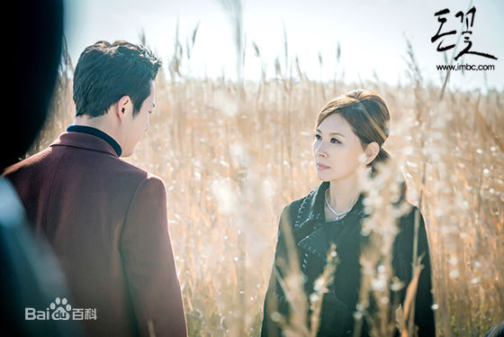 李美淑(，Lee Mi Sook)电视剧：金钱之花性感图片壁纸