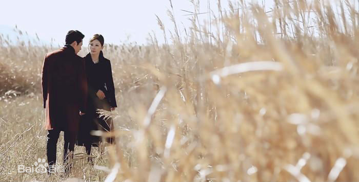 李美淑(，Lee Mi Sook)电视剧：金钱之花性感图片壁纸