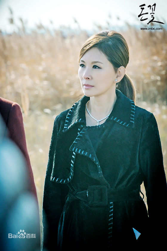 李美淑(，Lee Mi Sook)电视剧：金钱之花性感图片壁纸