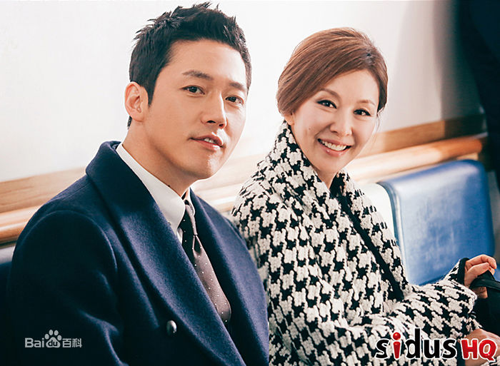 李美淑(，Lee Mi Sook)电视剧：金钱之花性感图片壁纸