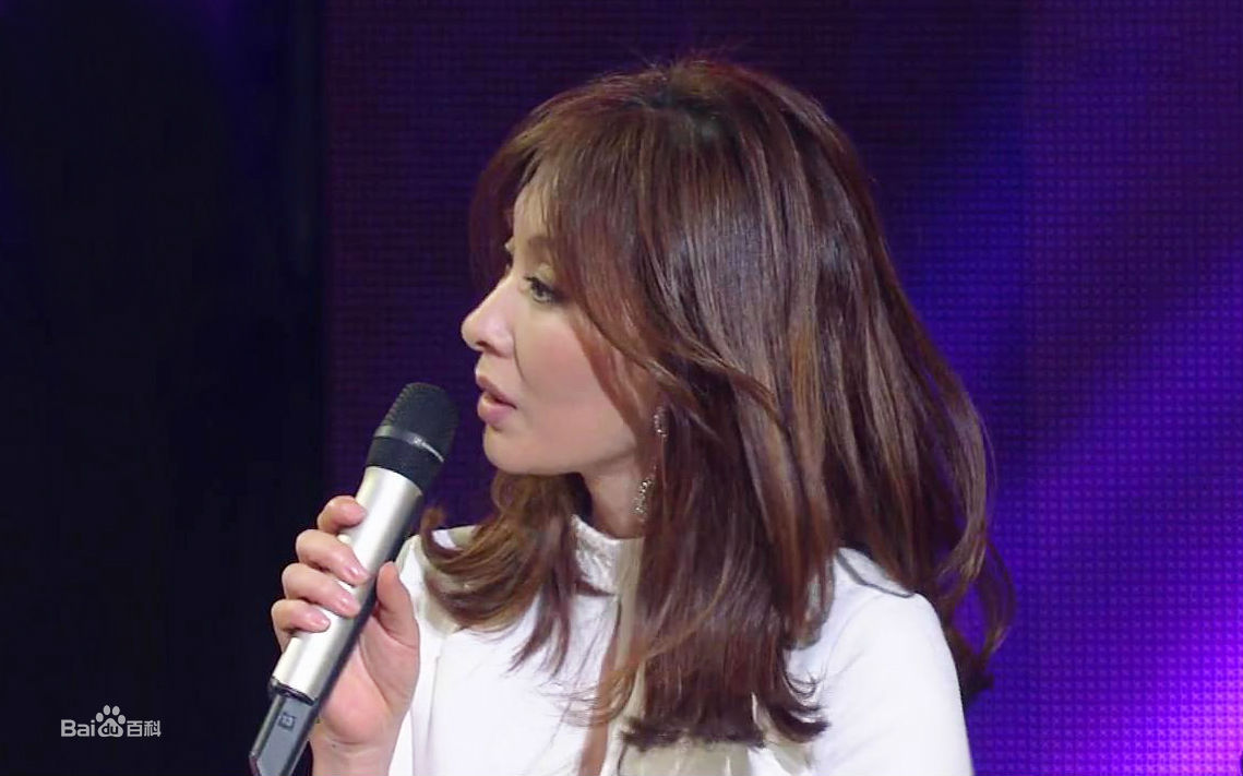 李美淑(，Lee Mi Sook)2013年12月31日 KBS演技大赏图册