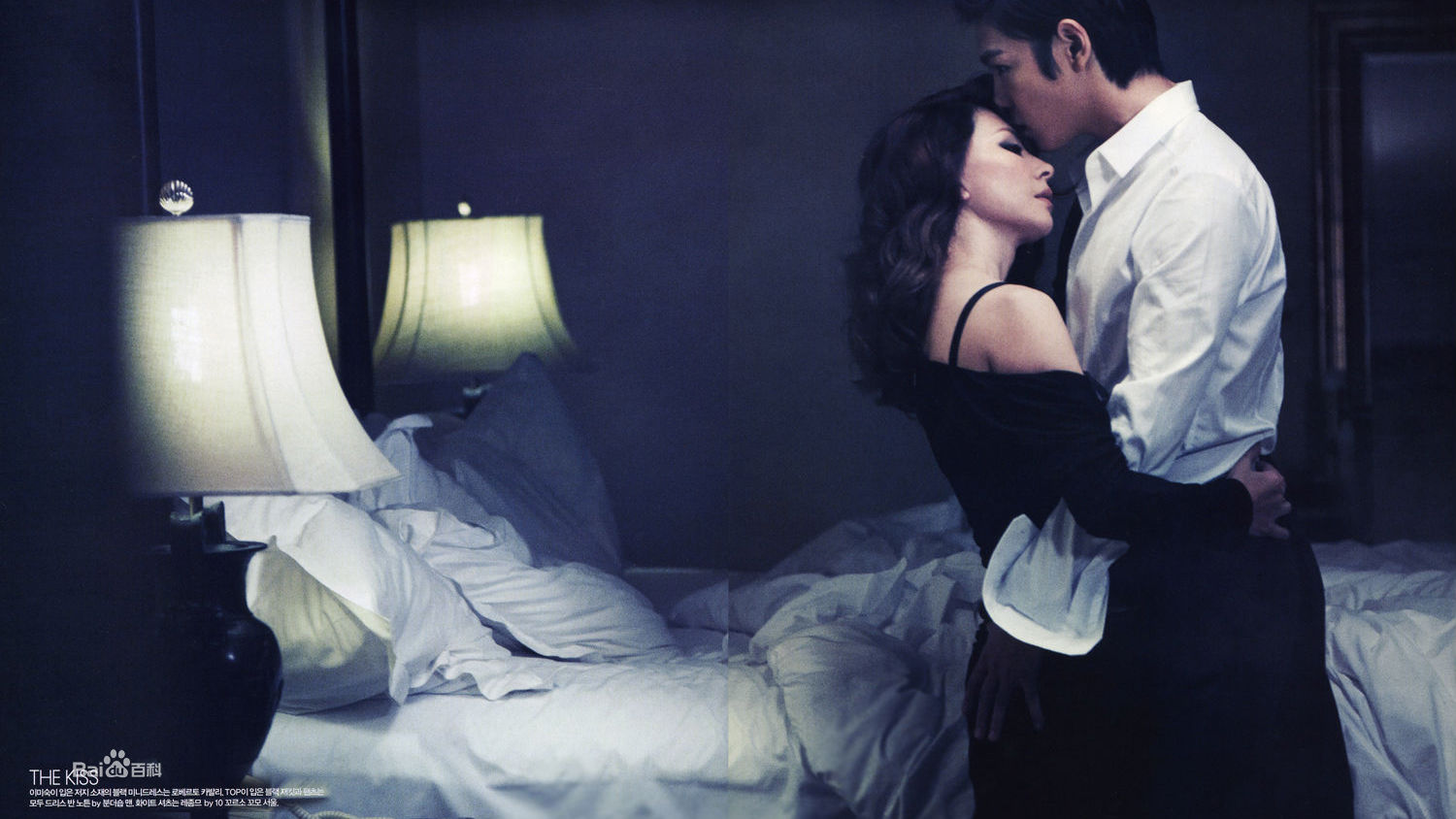 李美淑(，Lee Mi Sook)2010年： ELLE, 和TOP姐弟恋画报图册