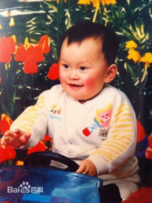 孙杨(Sun Yang)成长历程图片图册