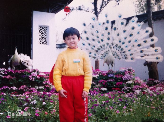 孙杨(Sun Yang)成长历程图片图册