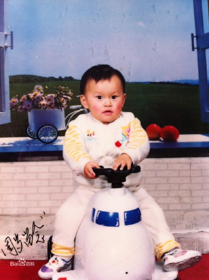 孙杨(Sun Yang)成长历程图片图册