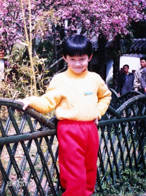 孙杨(Sun Yang)成长历程图片图册