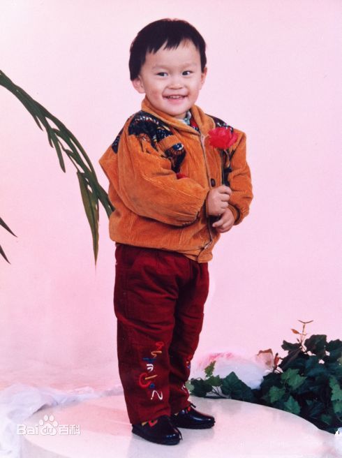 孙杨(Sun Yang)成长历程图片图册