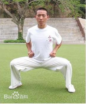 精选马步(Horse Stance)
