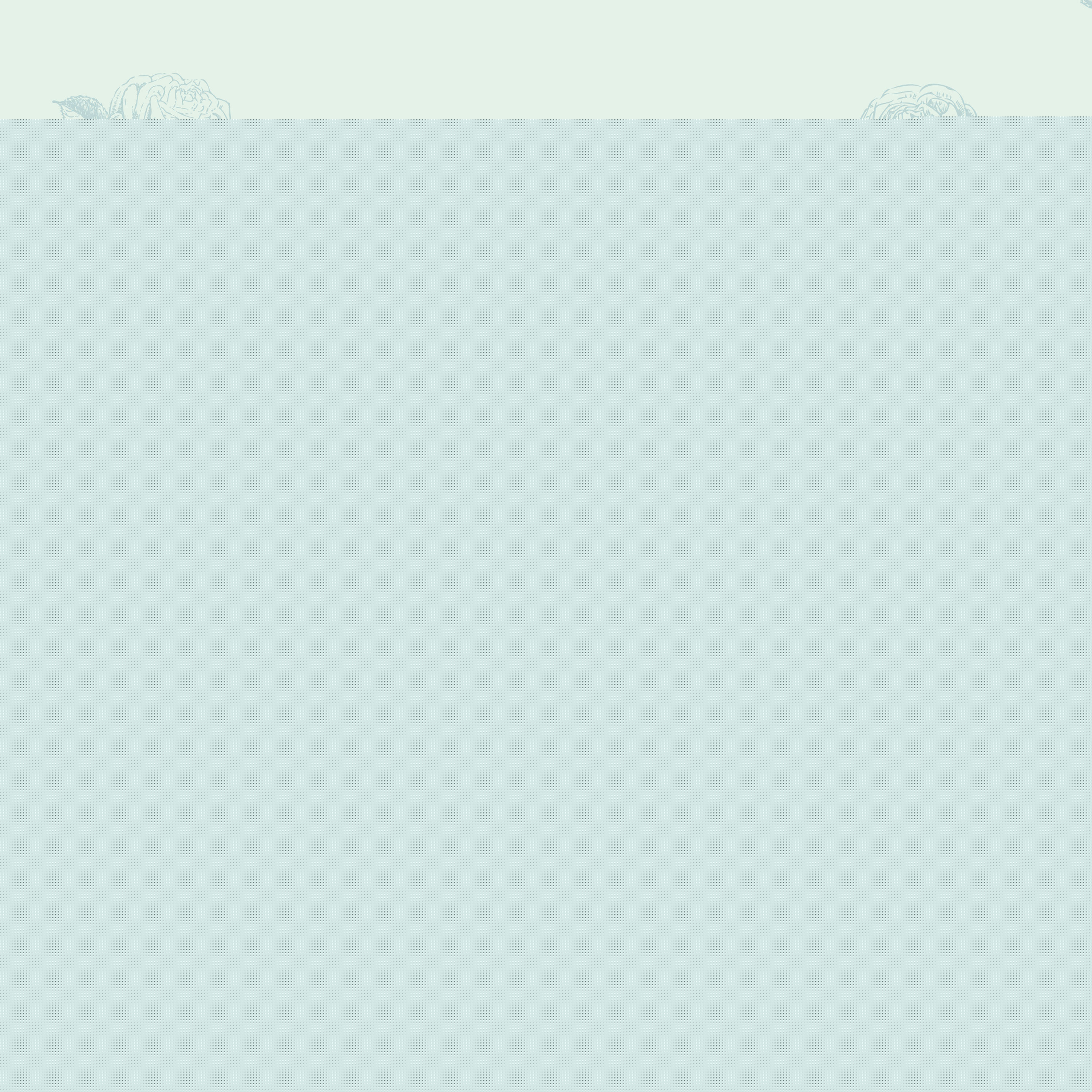 卓依婷(Timi Zhuo)粉丝手绘图壁纸壁纸