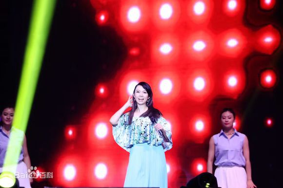 卓依婷(Timi Zhuo)“依然记得”演艺30周年巡回演唱会现场图集素颜照相册