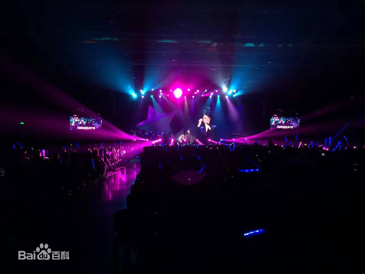 卓依婷(Timi Zhuo)“依然记得”演艺30周年巡回演唱会现场图集素颜照相册