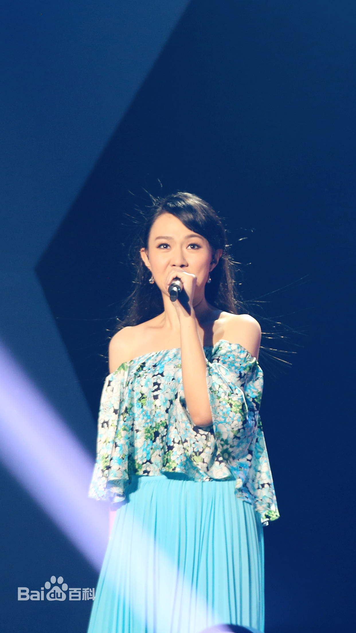 卓依婷(Timi Zhuo)“依然记得”演艺30周年巡回演唱会现场图集素颜照相册