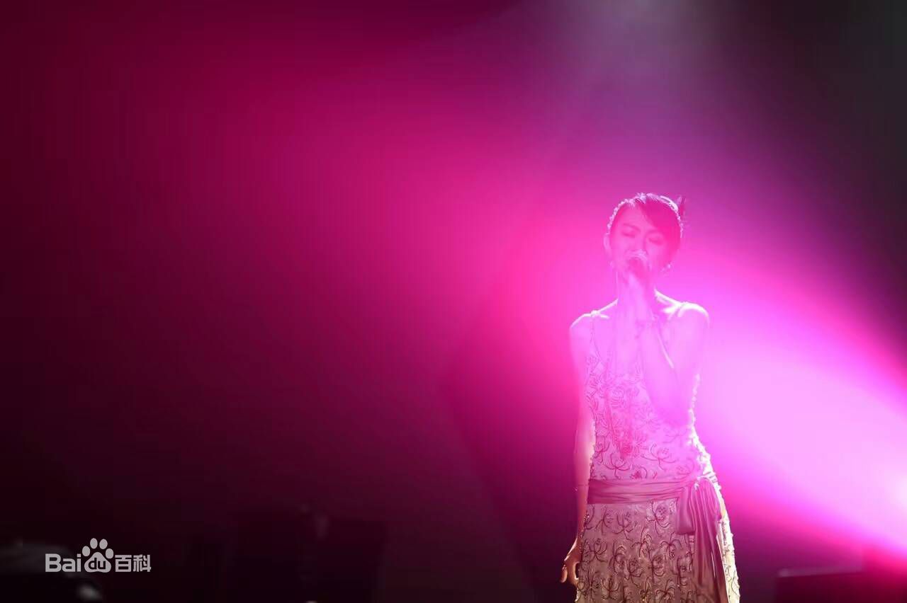 卓依婷(Timi Zhuo)“依然记得”演艺30周年巡回演唱会现场图集素颜照相册