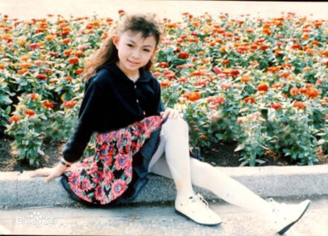 卓依婷(Timi Zhuo)童年时期的图册