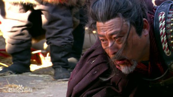 精选卢勇在《精忠岳飞》宗泽中的图册