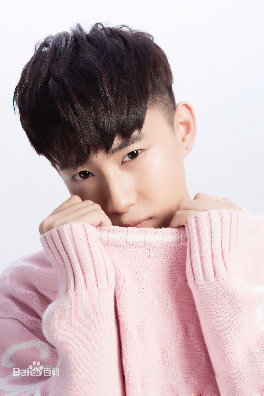 精选晏紫东图片