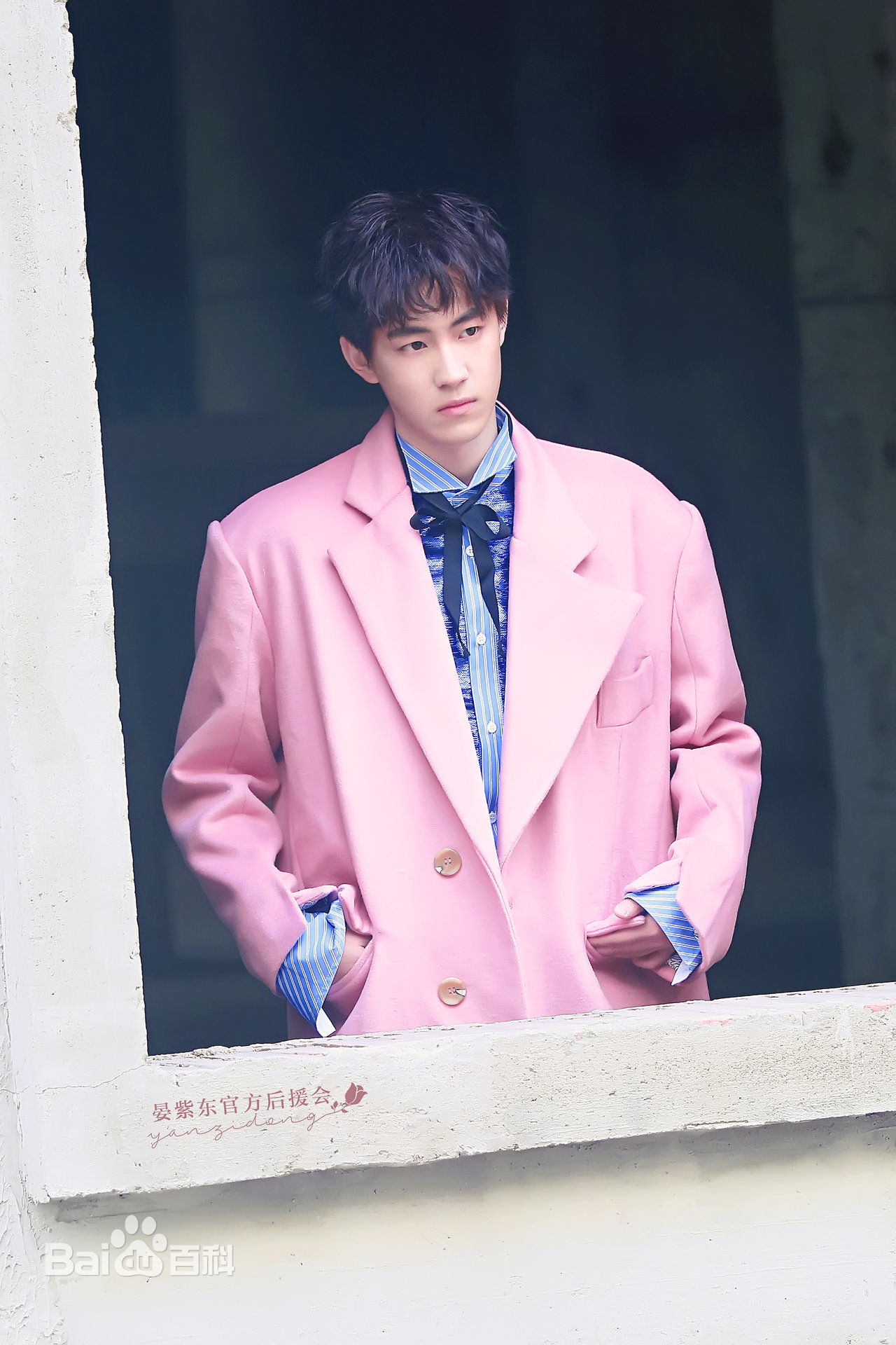 晏紫东最优质相册