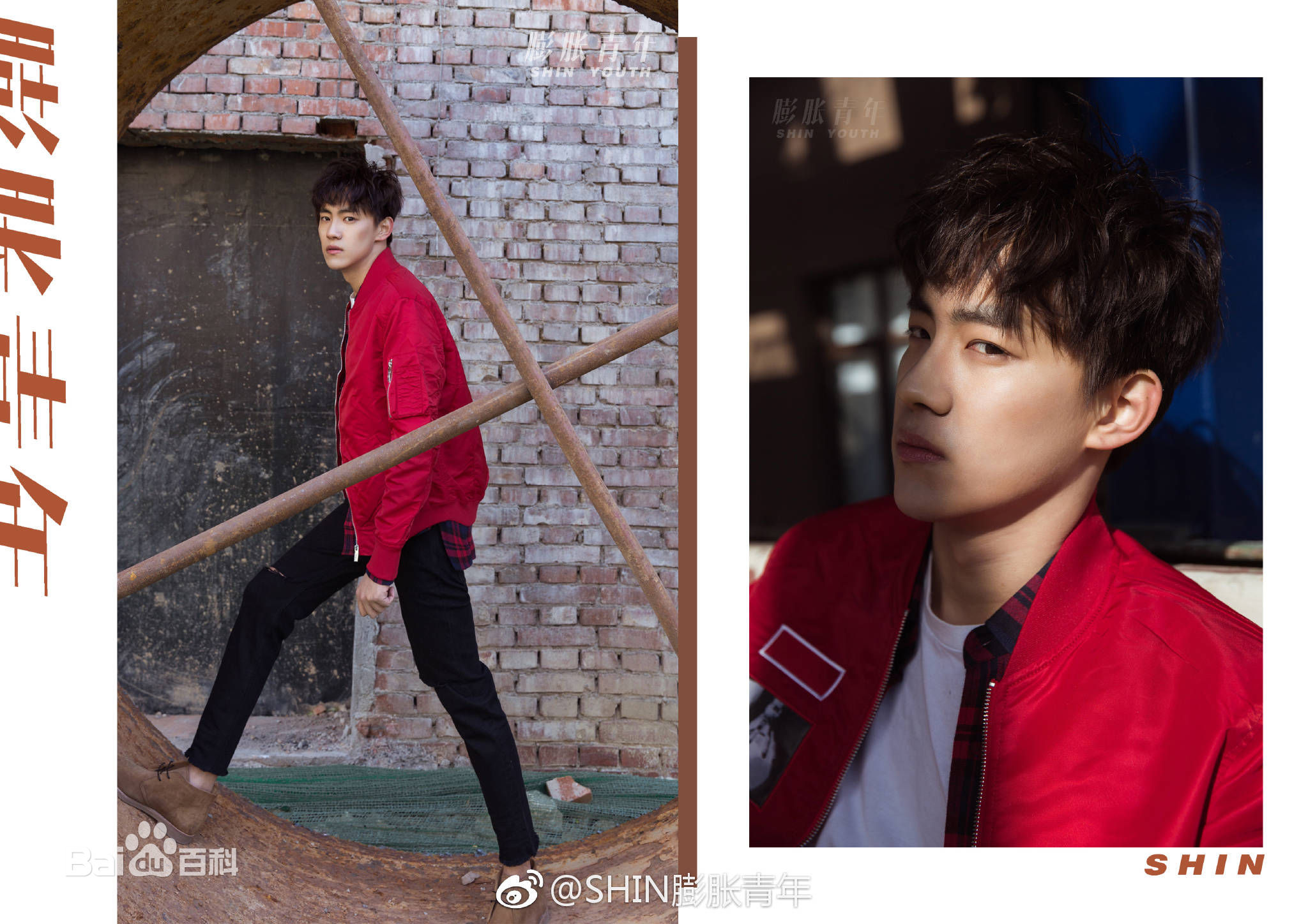 晏紫东最优质相册