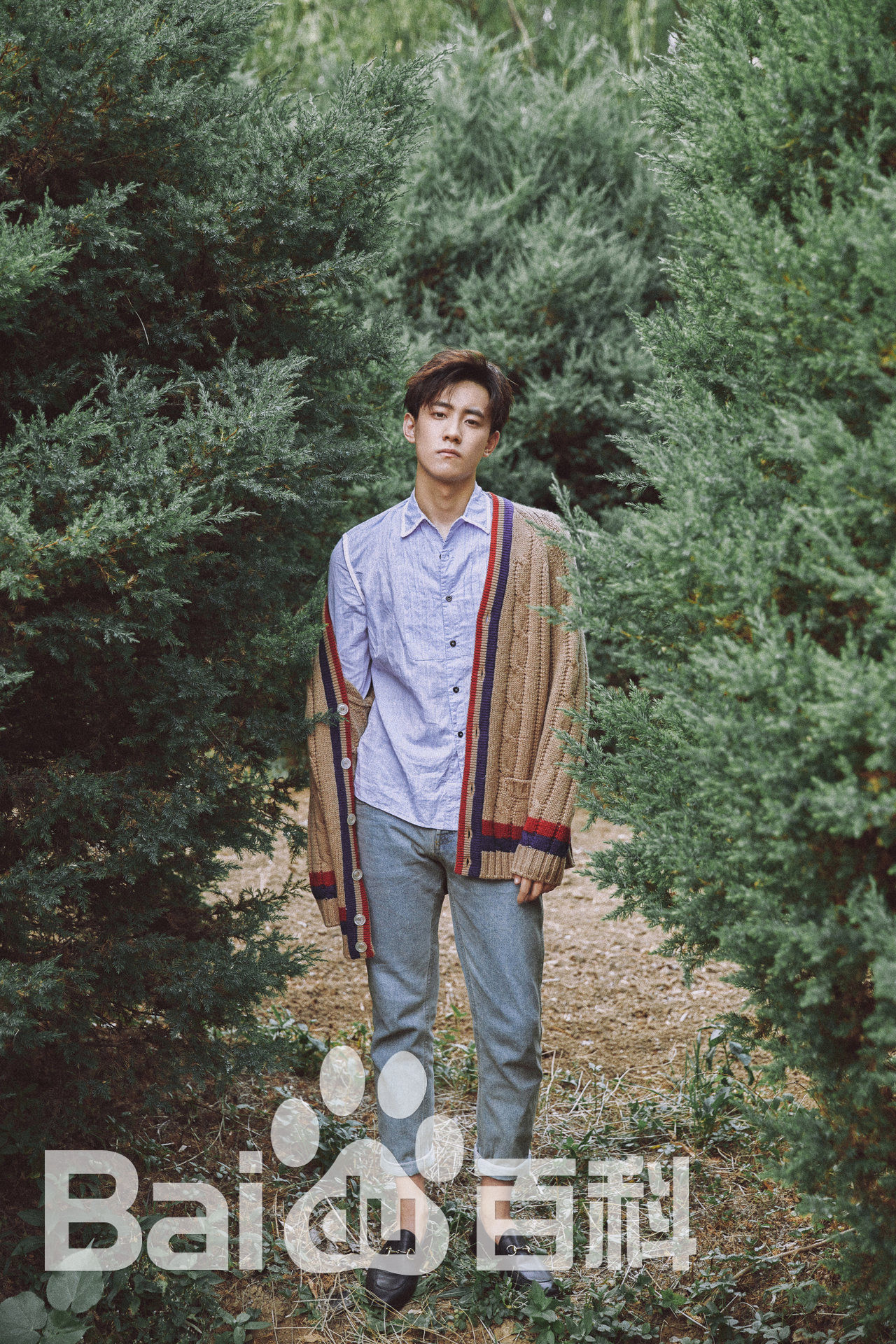 晏紫东最优质相册