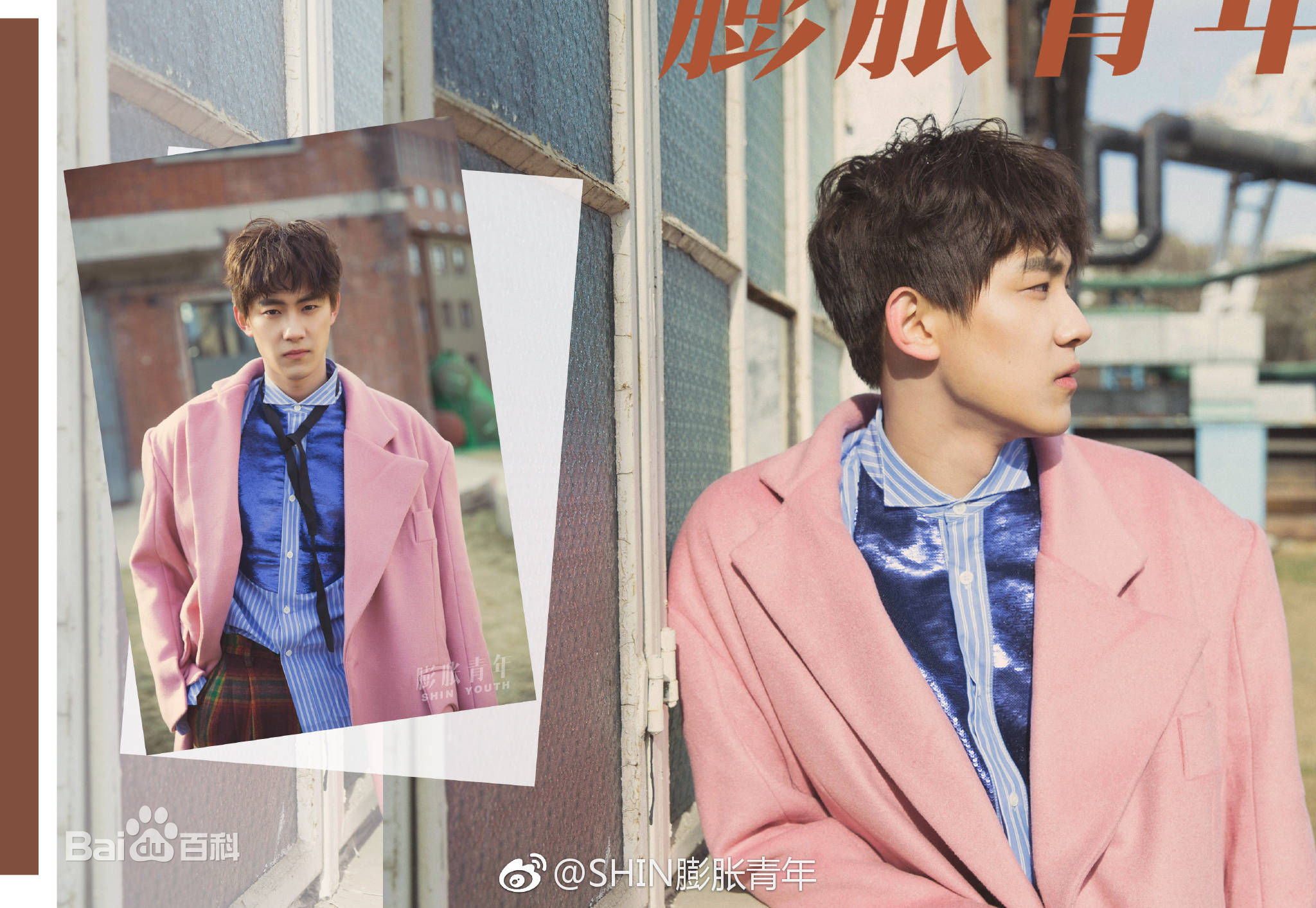 晏紫东最优质相册